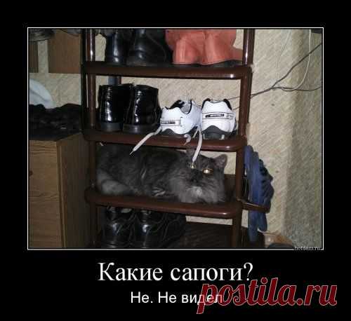 Демотиваторы новые, прикольные