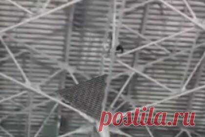 Мужчина забрался под крышу аэропорта Внуково. Во Внуково неизвестный мужчина забрался по металлическим конструкциям на высоту около 30 метров, под крышу аэропорта в терминале А. По информации канала, пассажир находится в состоянии опьянения и угрожает спрыгнуть. Предположительно, он является гражданином Испании. На месте работают оперативные службы.