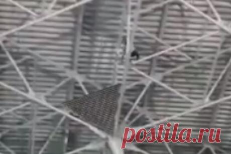 Мужчина забрался под крышу аэропорта Внуково. Во Внуково неизвестный мужчина забрался по металлическим конструкциям на высоту около 30 метров, под крышу аэропорта в терминале А. По информации канала, пассажир находится в состоянии опьянения и угрожает спрыгнуть. Предположительно, он является гражданином Испании. На месте работают оперативные службы.