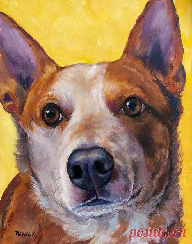Australian cattle dog red heeler on yellow by Dottie Dracos Australian cattle dog red heeler on yellow Painting by Dottie Dracos