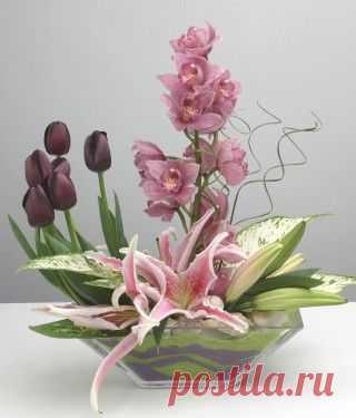 (2) Pinterest: инструмент для поиска и хранения интересных идей