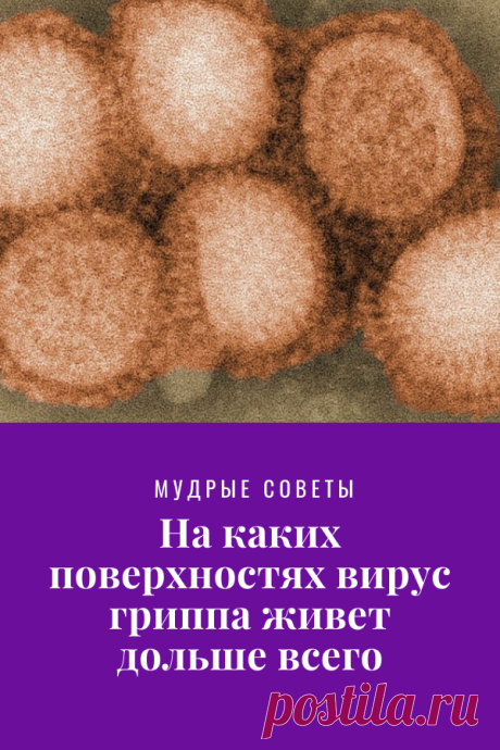 На каких поверхностях вирус гриппа живет дольше всего