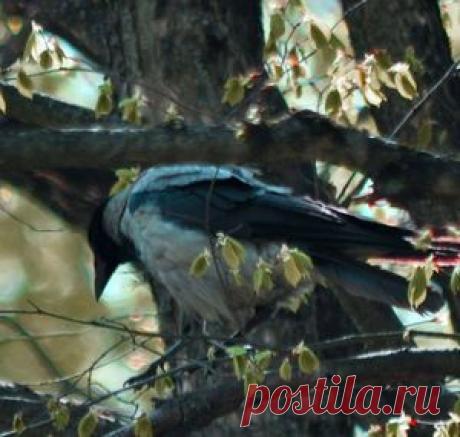 Мои фото — National Geographic Россия