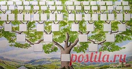 Секрет семи поколений рода: зачем нужно знать своих предков? Знаете ли вы, кем были ваши предки? Как их звали, какая судьба их постигла? Если прямо сейчас попросить вас заполнить генеалогическое дерево, сколько поколений вы вспомните?
Практика показывает, что …