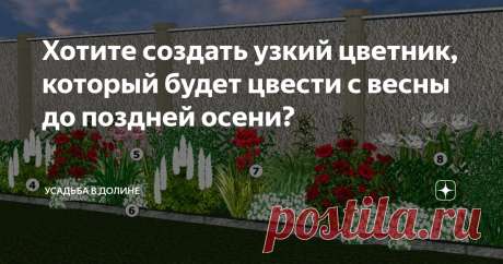 Хотите создать узкий цветник, который будет цвести с весны до поздней осени? Предлагаю вариант, который придется по душе многим дачникам. Ведь для этого проекта я выбрала...