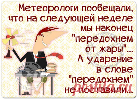 Слова со смыслом|Юмор, Статусы, Цитаты|Лето | ВКонтакте