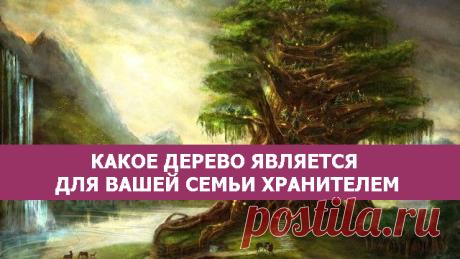 Какое дерево является для вашей семьи хранителем