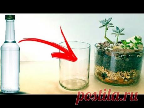 Преврати бутылки в вазы для кактусов и суккулентов