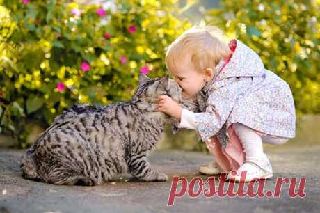 фотографии детей с кошками
