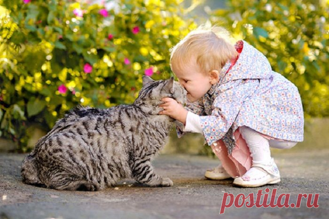 фотографии детей с кошками