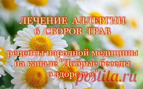 ЛЕЧЕНИЕ АЛЛЕРГИИ. ШЕСТЬ СБОРОВ ТРАВ И ИХ ПРИМЕНЕНИЕ
 Мы все хорошо знаем, что когда человек вступает в контакт с аллергеном, реакция его иммунной системы способна вызвать головную боль, расстройство нервной системы, покраснение и зуд кожи, заполнить слизью носовые пазухи, вызвать отек дыхательных путей или отрицательно повлиять на пищеварительную систему.