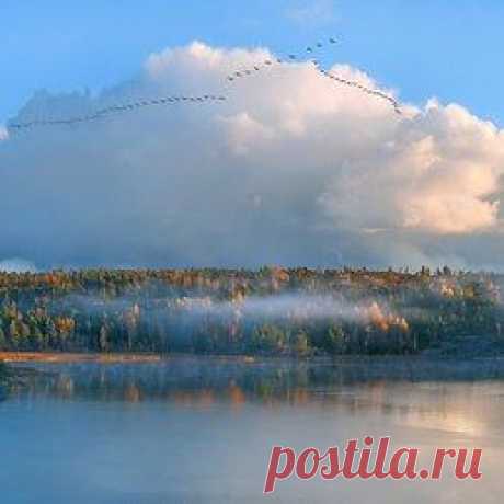 Юрий