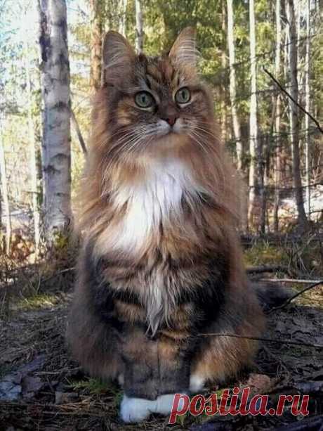 (4) Группы | Facebook