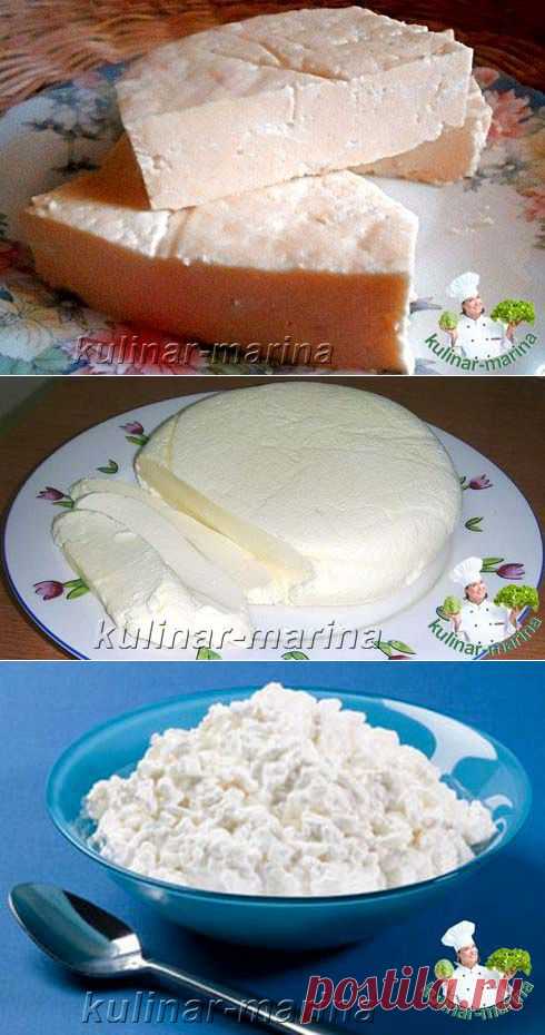 Продукты из молока в домашних условиях