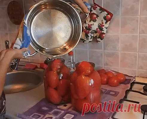 ПОМИДОРЫ 