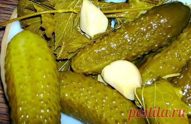 Когда мне лень возиться с консервацией, я делаю вкусные бочковые огурцы на зиму без стерилизации и закруток | Отчаянная Домохозяйка | Яндекс Дзен