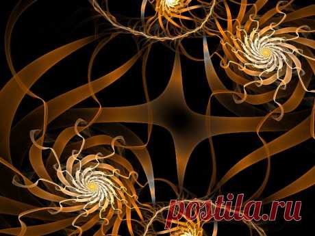 Несколько фракталов в программе Apophysis