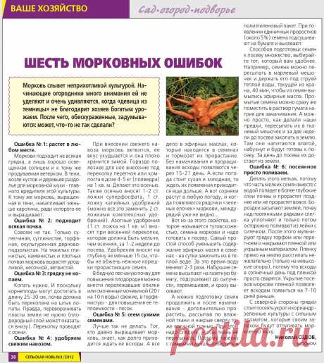 Шесть морковных ошибок