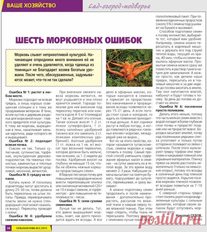 Шесть морковных ошибок