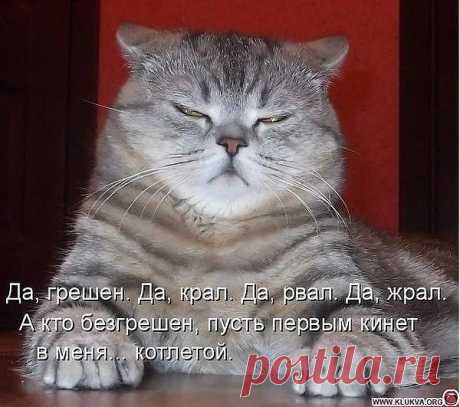 последнее слово подсудимого