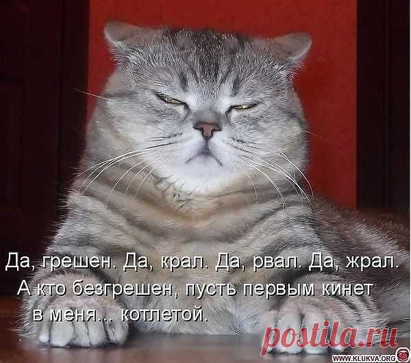последнее слово подсудимого