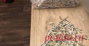 Двухлетний ребёнок измельчил в шредере тысячу долларов, которые родители откладывали для покупки билетов на футбол