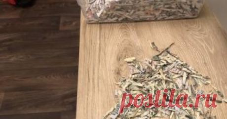 Двухлетний ребёнок измельчил в шредере тысячу долларов, которые родители откладывали для покупки билетов на футбол