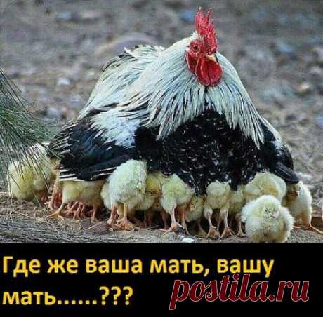 Спорт - это жизнь