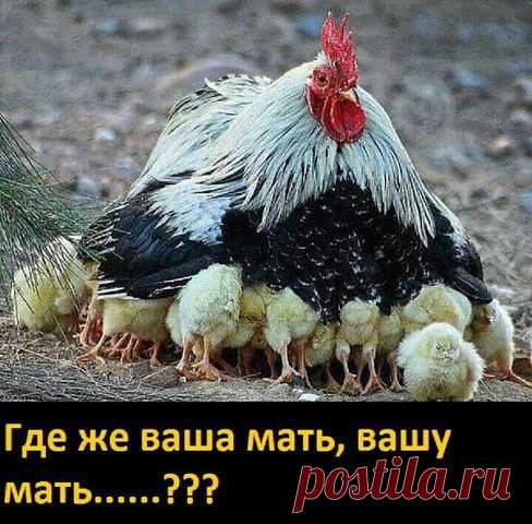Спорт - это жизнь