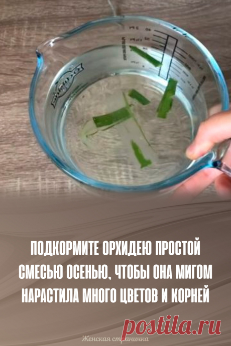 Подкормите орхидею простой смесью осенью, чтобы она мигом нарастила много цветов и корней
