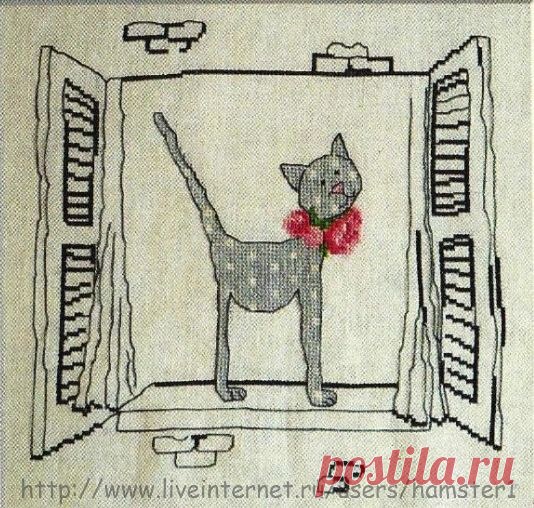КОТИК.