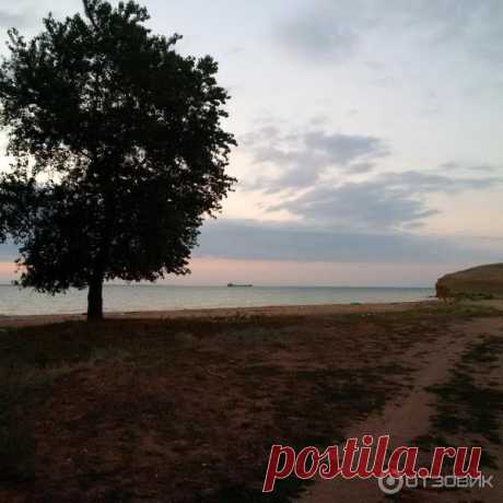 Отзыв о Отдых на Цимлянском водохранилище. (Россия, Ростовская область) | Родные просторы, которые поражают своей красотой