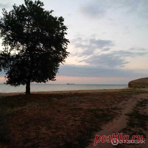 Отзыв о Отдых на Цимлянском водохранилище. (Россия, Ростовская область) | Родные просторы, которые поражают своей красотой