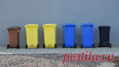 Was gehört in welche Tonne? So trennt man Müll richtig