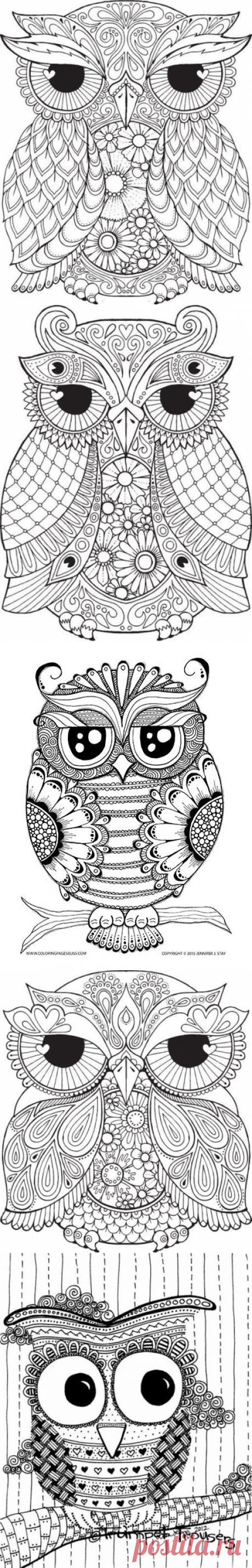 раскраски антистрес