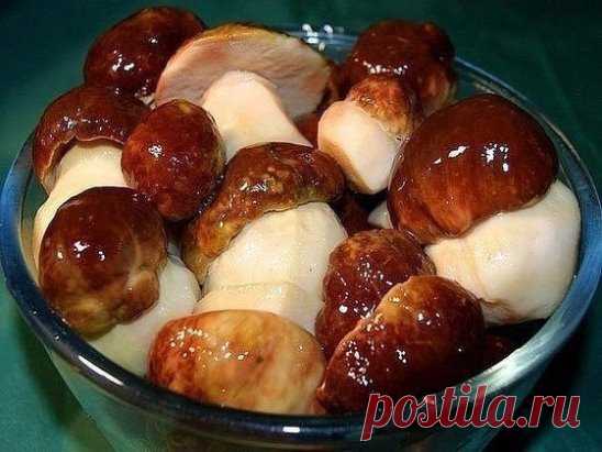 10 заготовок из ГРИБОВ
1. Засолка грибов - холодный способ
Грибы (рыжики, черные и белые грузди, волнушки, сыроежки) - 1 кг 
Соль - 100 г 
Смородина - 10–12 листьев 
Вишня - 5–6 листиков 
Хрен - 2 листа 
Укроп - 2 зонтика 
Лавровый лист - 2–3 шт. 
Перец горошком - по вкусу 
Чеснок - по вкусу
Грузди, волнушки или сыроежки вымыть и залить холодной водой на 5–6 ч. (Рыжики не вымачивают, а только промывают). На дно деревянной или керамической посуды насыпать слой соли, положить половину листьев смор