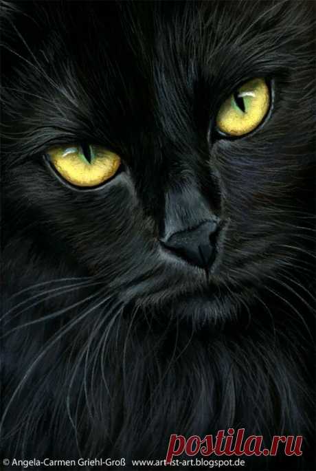 (4) Pinterest