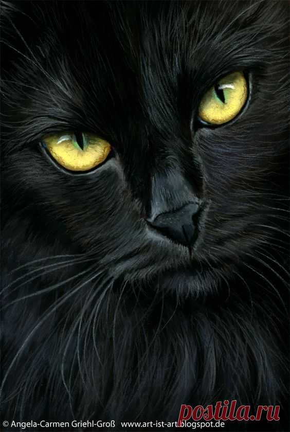 (4) Pinterest