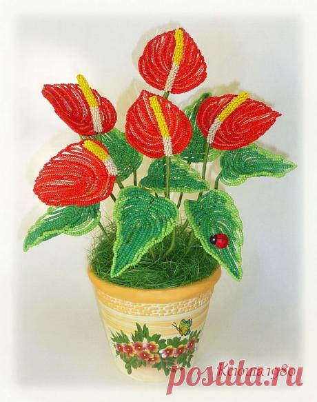 biser.info_61766_anturium_1387184485.jpg (671×851)