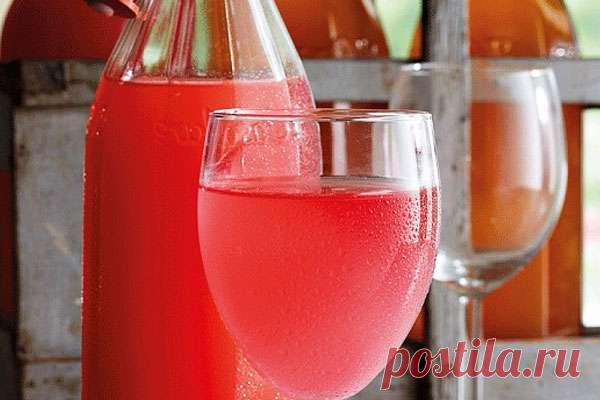 Вино из ревеня - лучшие рецепты Подборка лучших способов приготовления домашнего вина из ревеня - классический рецепт, варианты с цитрусовыми, с малиновой закваской