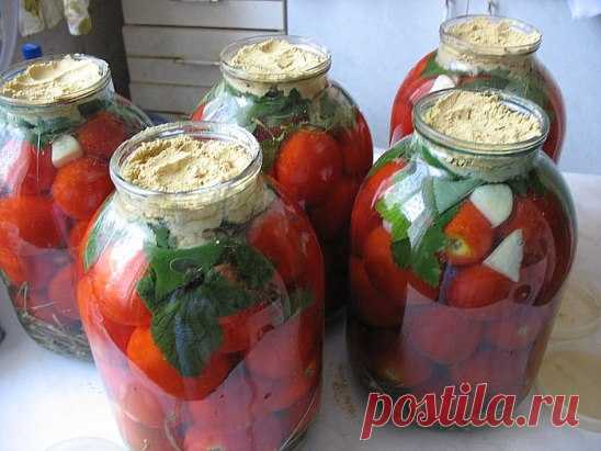 На следующий год! Заносят в книгу ... ПОМИДОРЫ С горчицей. В чистые сухие банки уложить: венчики укропа (5-6 или 1 ст.л. семян) листья черной смородины (3-4 шт) чеснок (1-2 зубчика) корень хрена 1/2 красного острого перца помидоры (до верха, до горлышко). Залить холодной фильтрованной водой, так чтоб полностью покрывала помидоры. Это 1,5 литра на 3л банка, соли - 2 ст.л с горкой. сверху на помидоры я положила еще листьев вишни и смородины, чтоб полностью покрывали плоды и ...