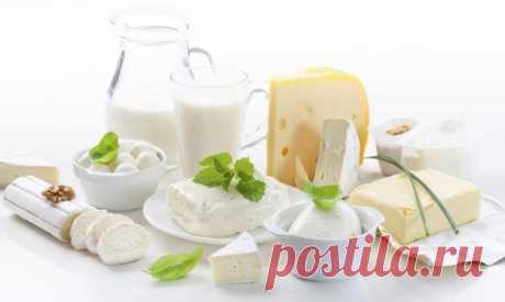 Что не мешало бы знать о молочных продуктах