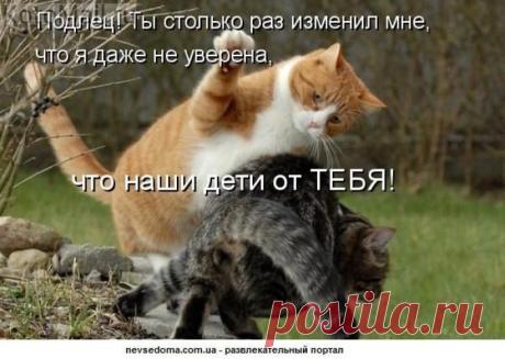 Воспитательный процесс | KotoMail.ru