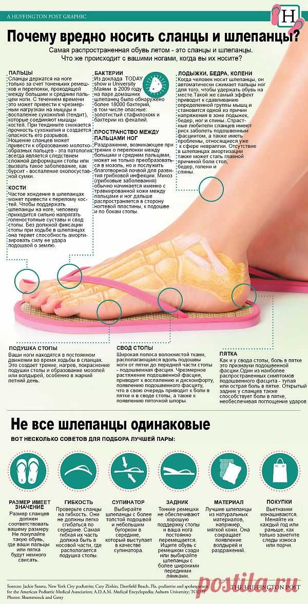 Инфографика: Не все сланцы одинаково полезны | Лайфхакер