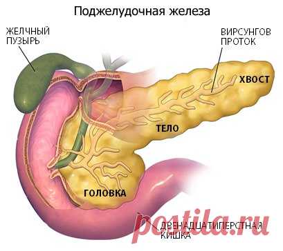 Если беспокоит поджелудочная железа.

Есть способ не только облегчить страдания, но и навсегда забыть о этой напасти… Это семя льна…, оно единственное! способно вылечить вашу поджелудочную железу.

Нужно:
Показать полностью…