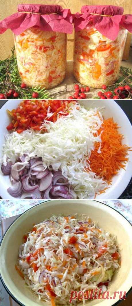 Капуста «Закусочная» : Капуста