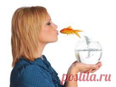 Все статьи о Исполнение желаний