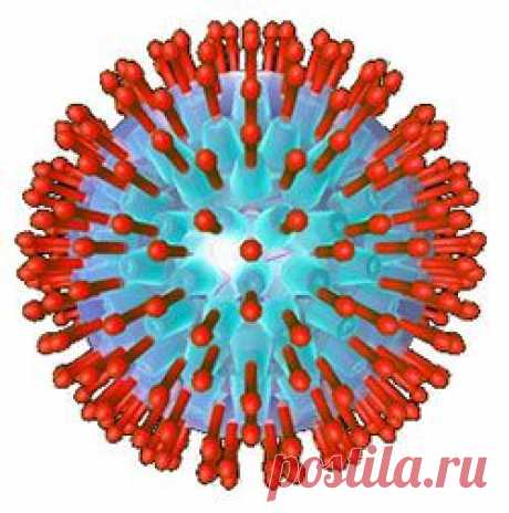 Герпес. Опоясывающий лишай. ПО «Луч-Ник», создаёт условия для дезактивации и разрушения энергетических структур вируса.