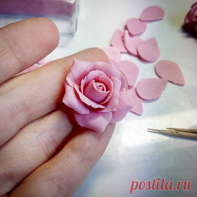 Pink rose ❤️
#полимернаяглина #роза #розовыерозы #саманежность