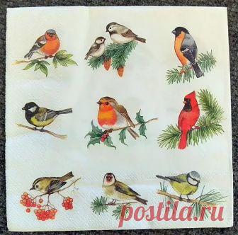 бумага для блокнотов со снегирями: 10 тыс изображений найдено в Яндекс.Картинках